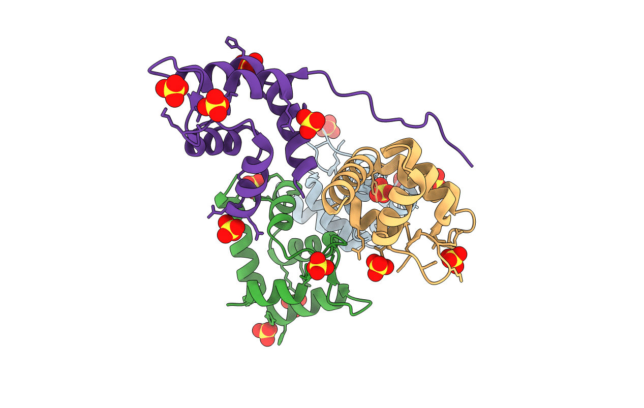 5D67 image