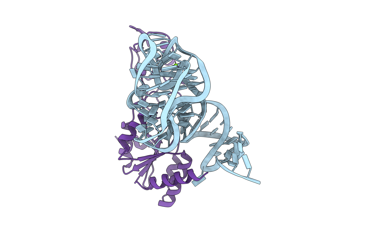 5D6G image