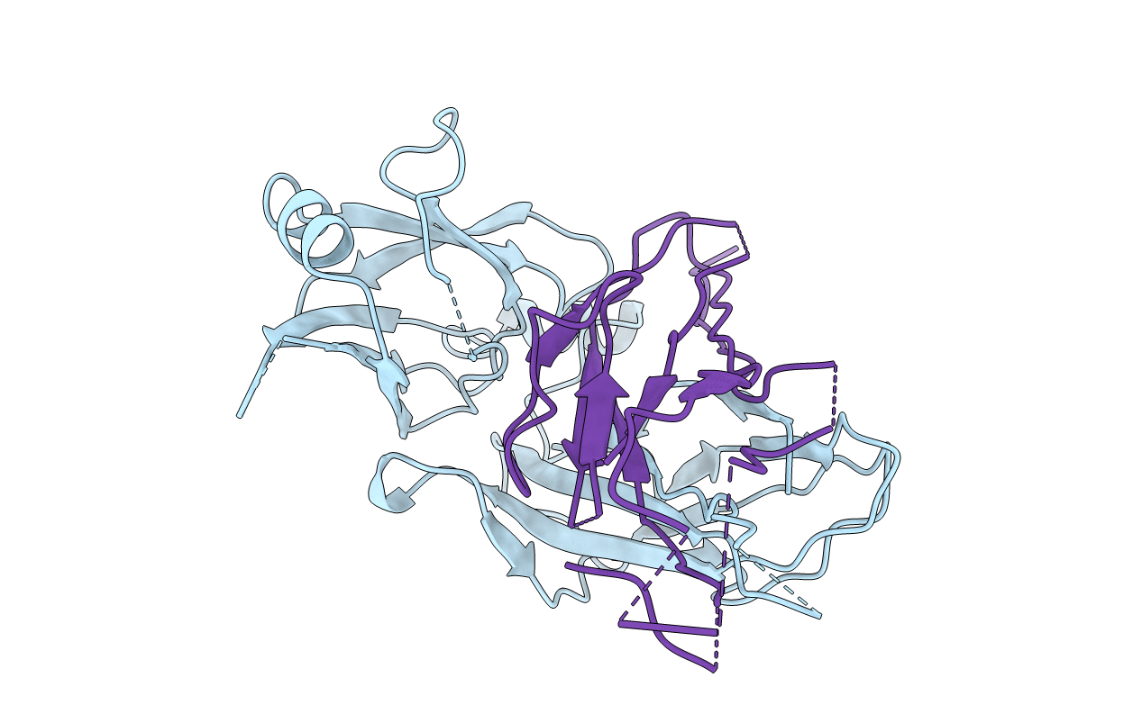 5D6H image