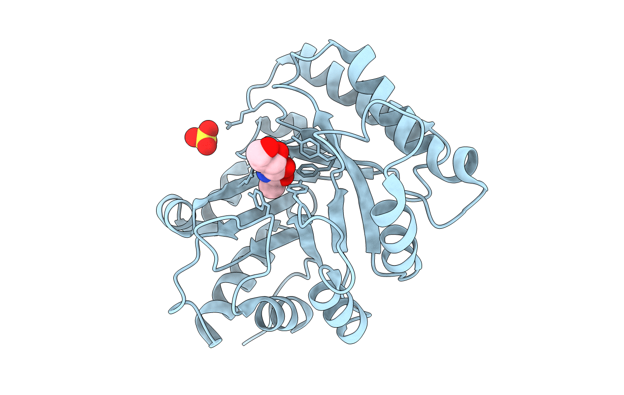 5D6T image