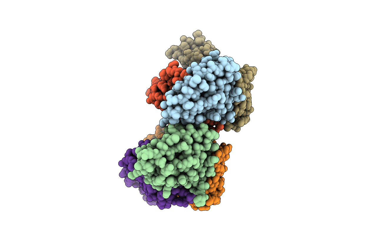 5D72 image