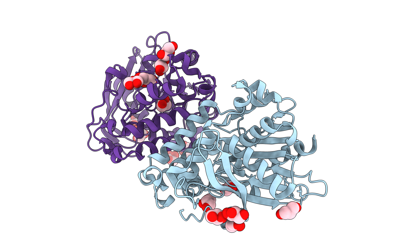 5D7B image