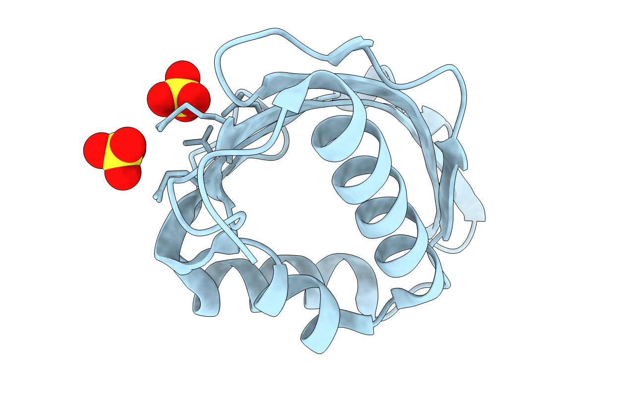 5D81 image