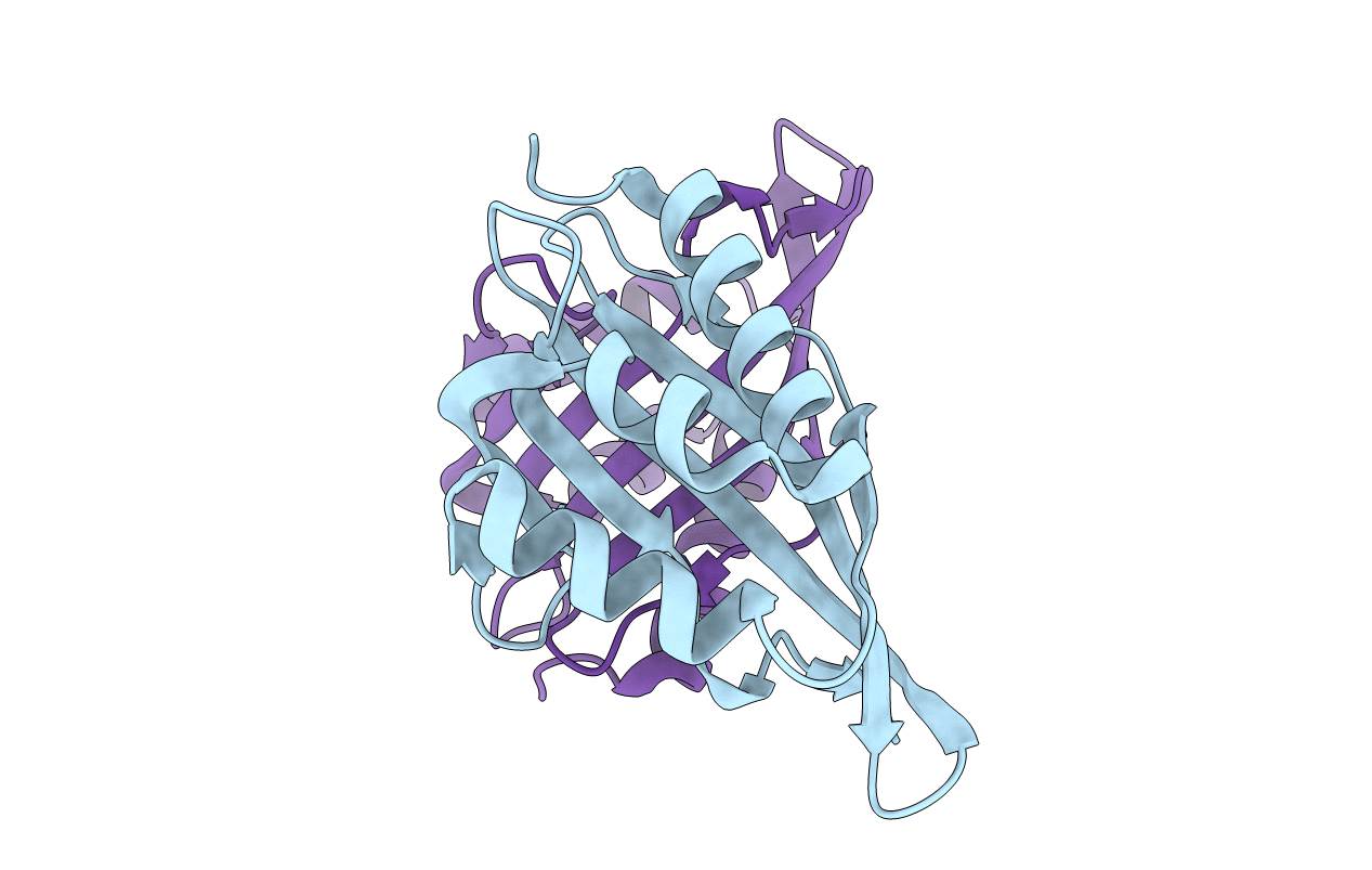 5D82 image