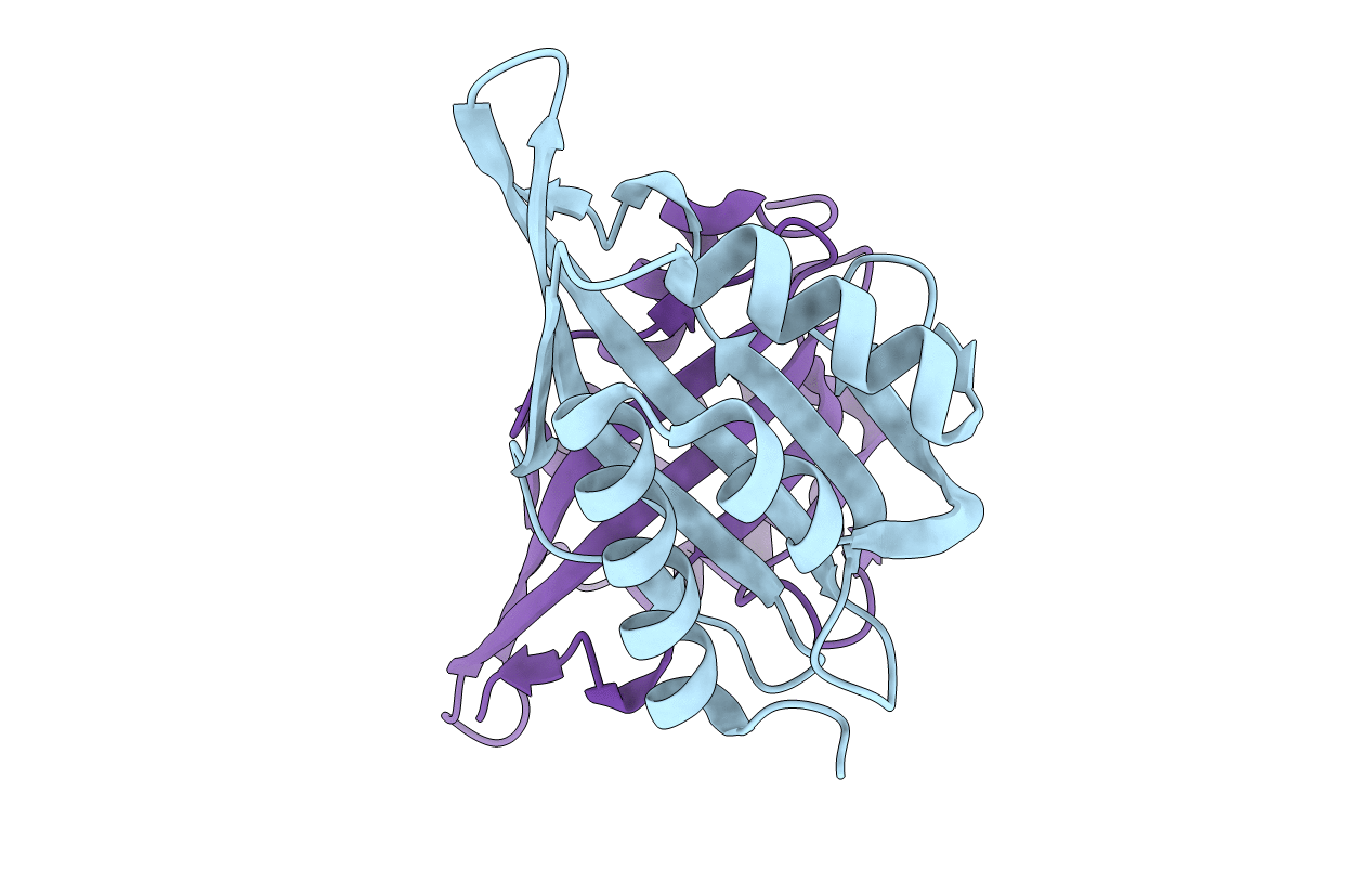 5D83 image