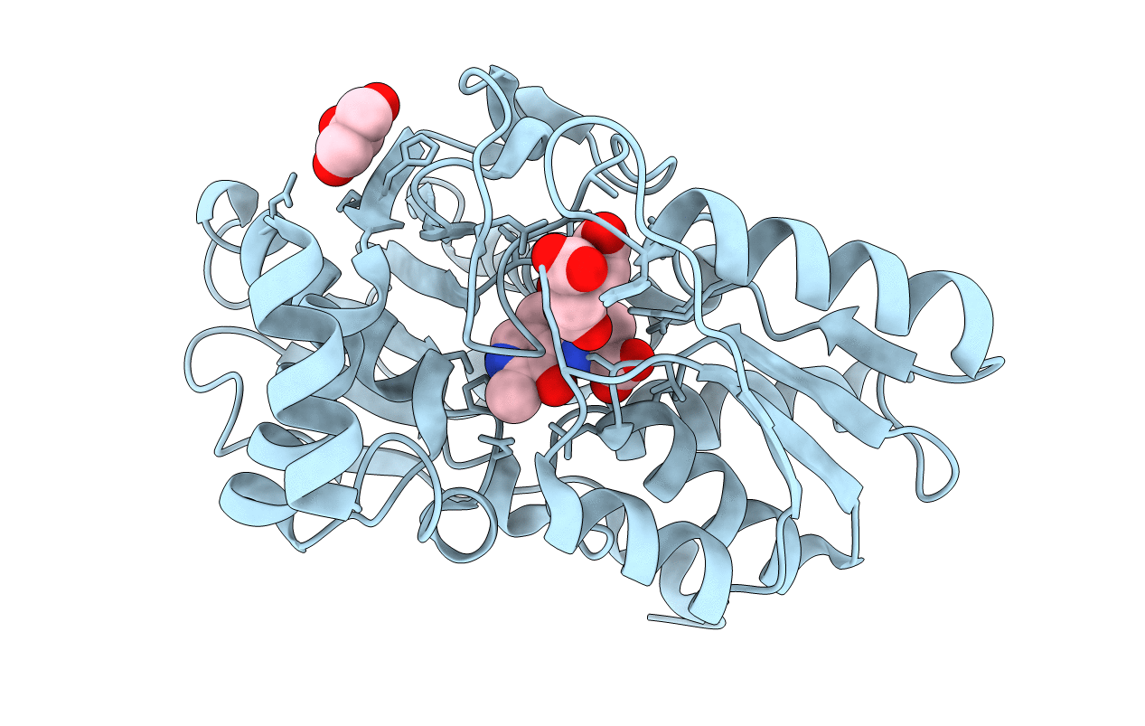 5D85 image