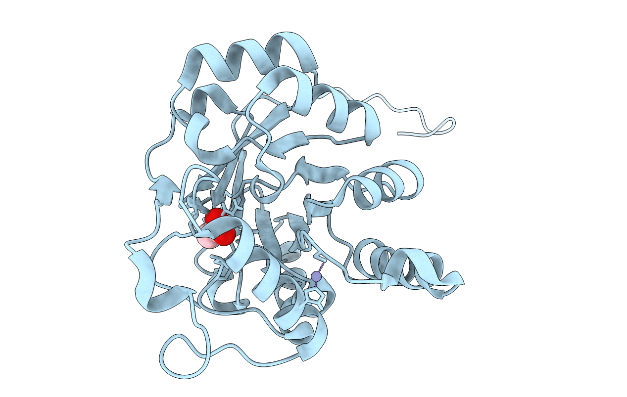 5D88 image