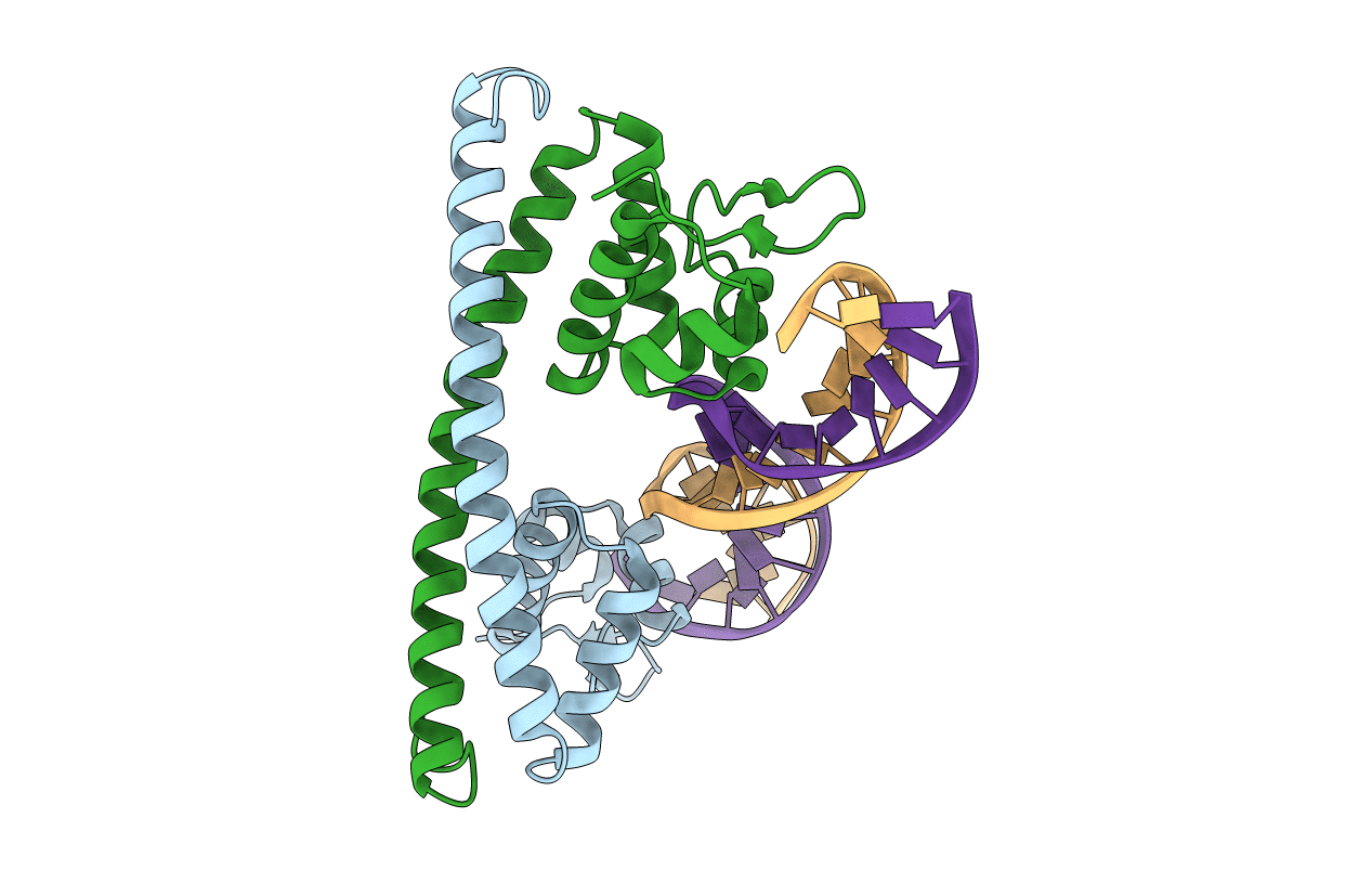 5D8C image