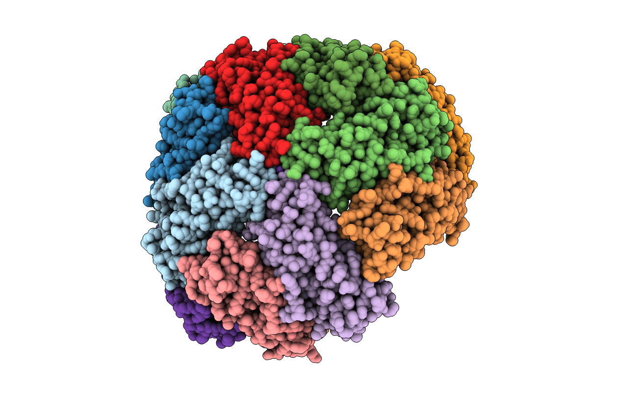 5D8S image