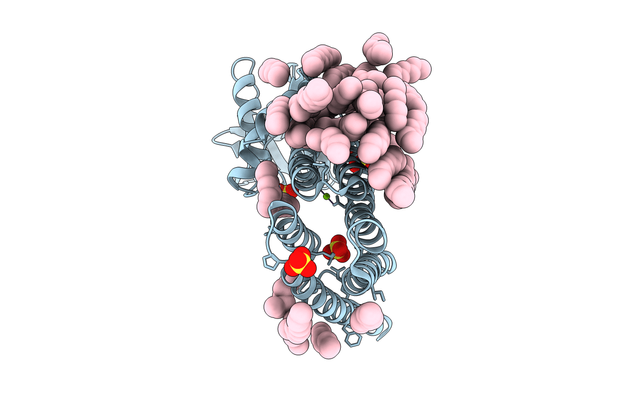 5D91 image
