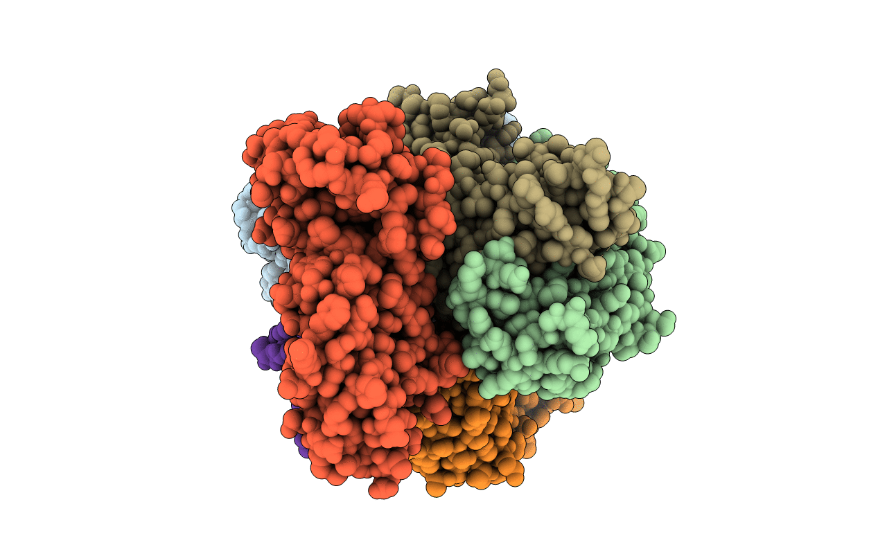 5D93 image