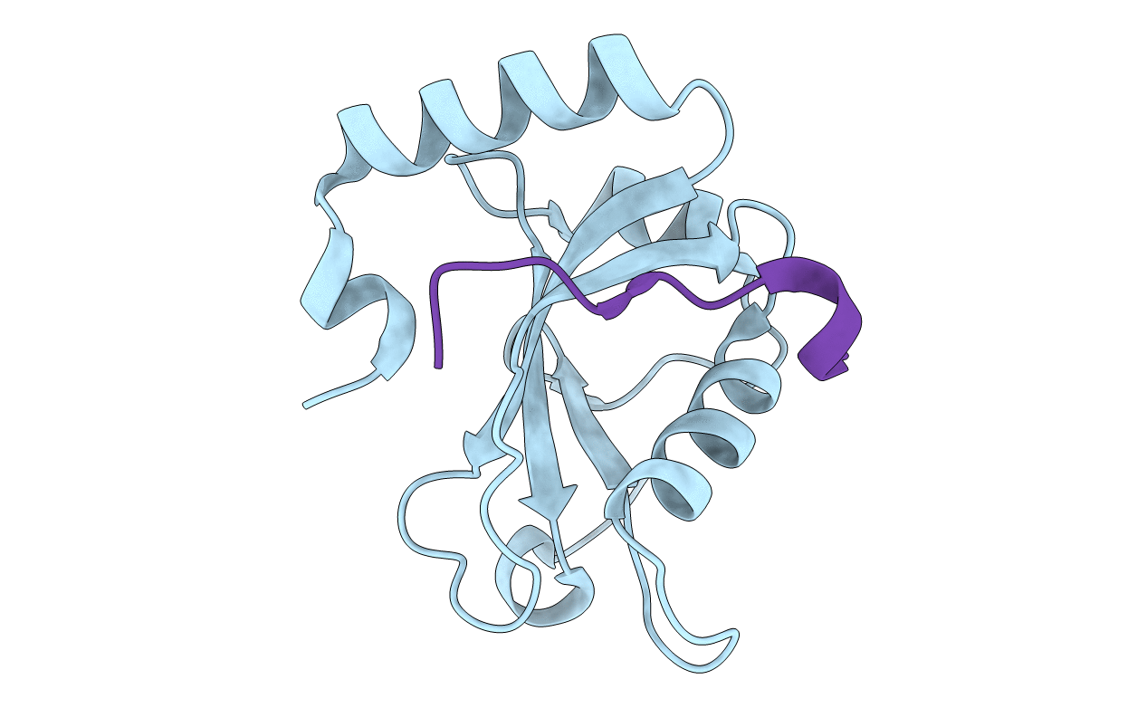 5D94 image