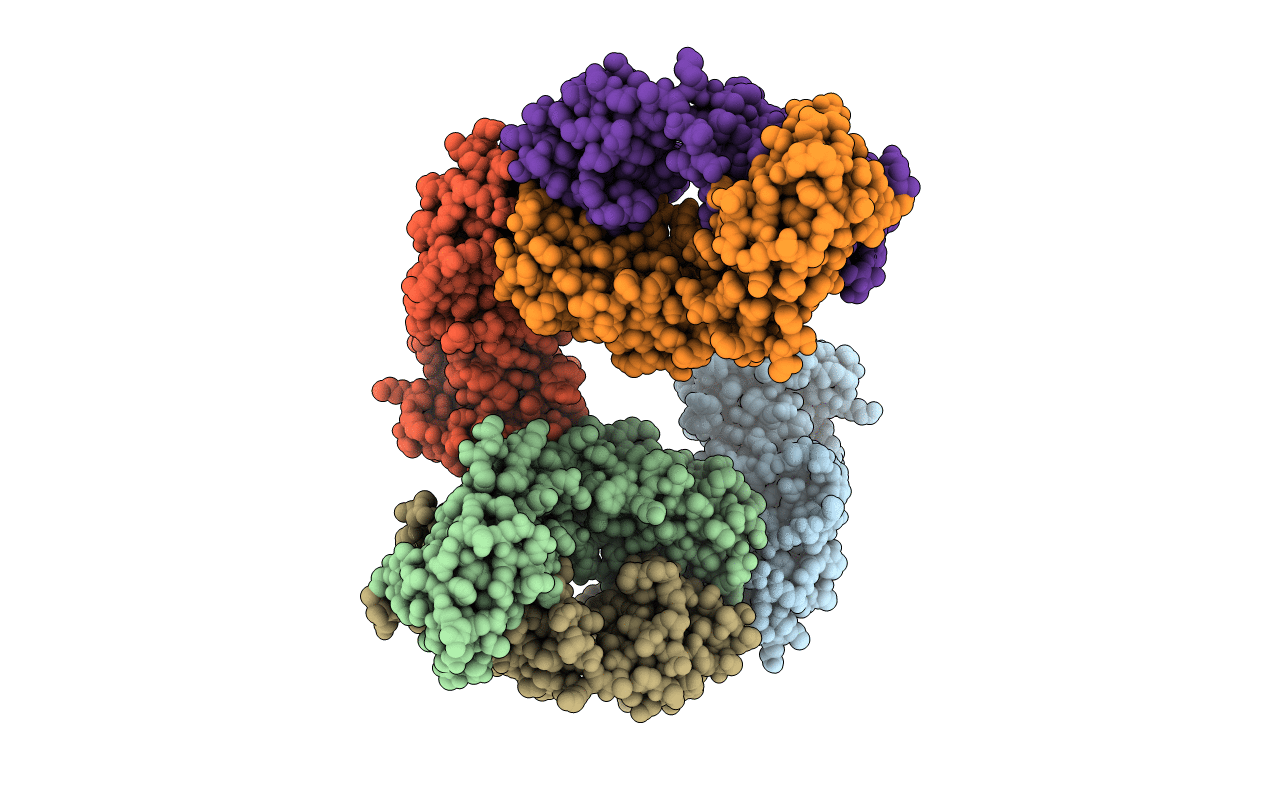 5D96 image