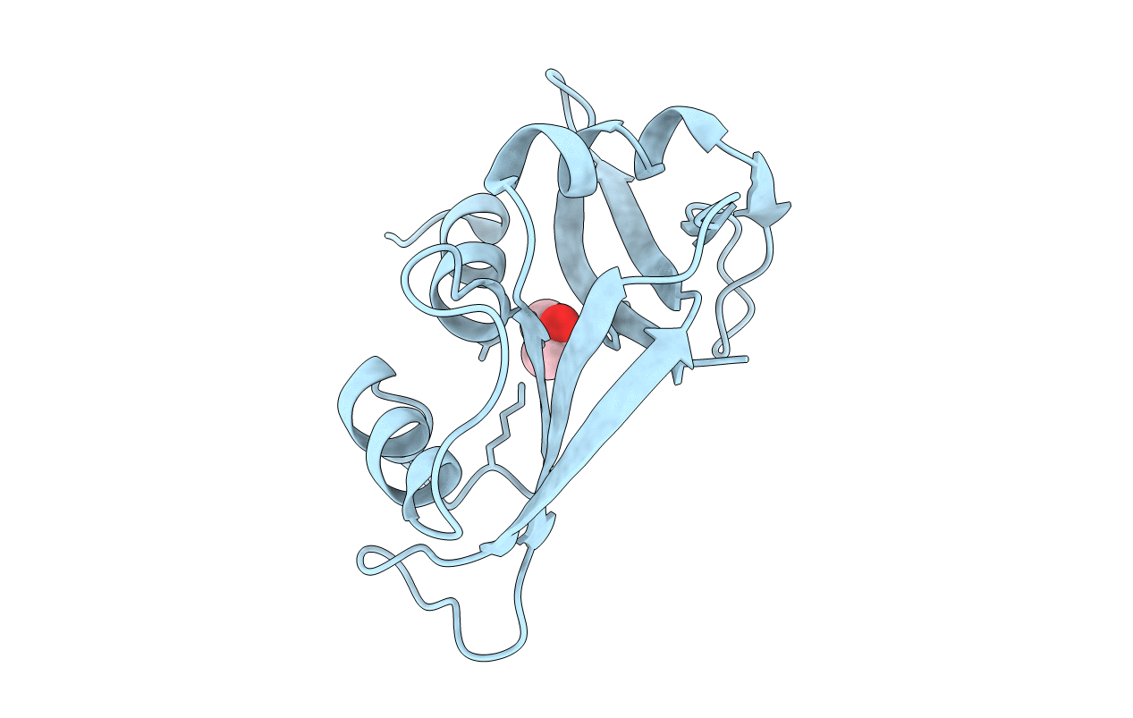 5D97 image