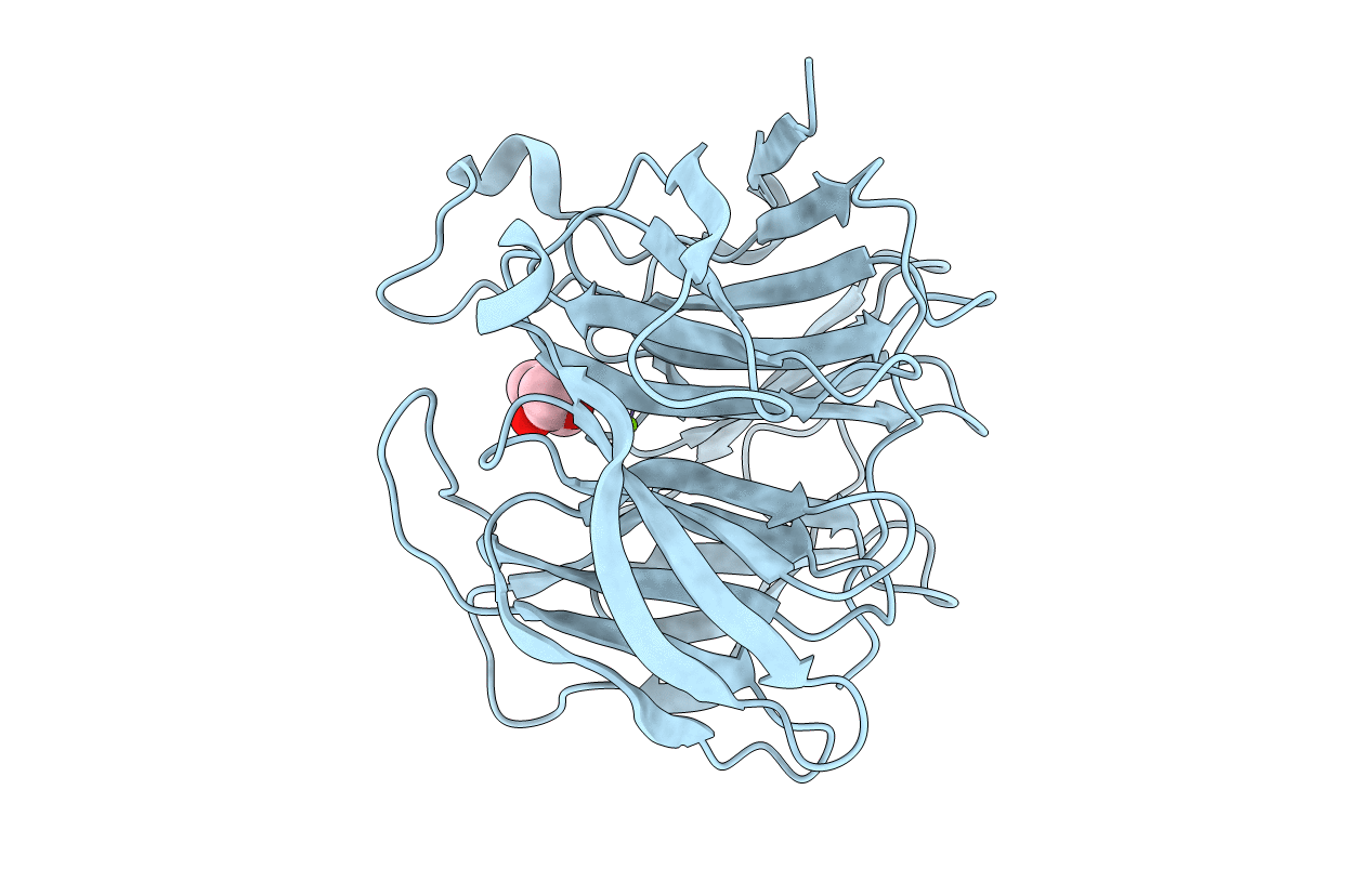 5D9B image