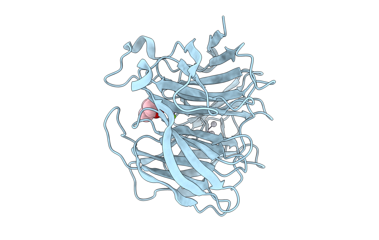 5D9C image
