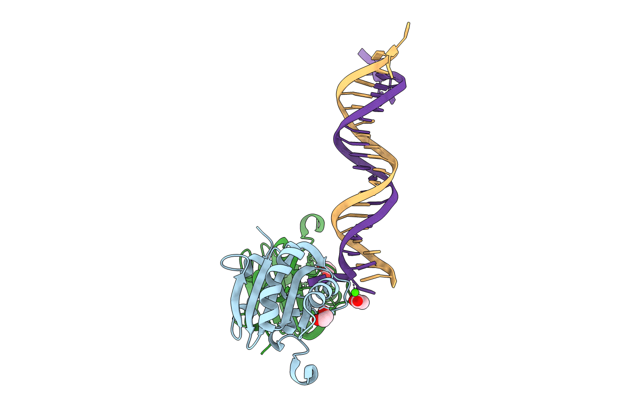 5D9I image