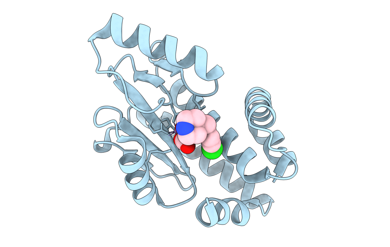 5D9J image