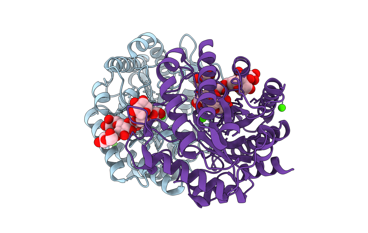 5D9N image