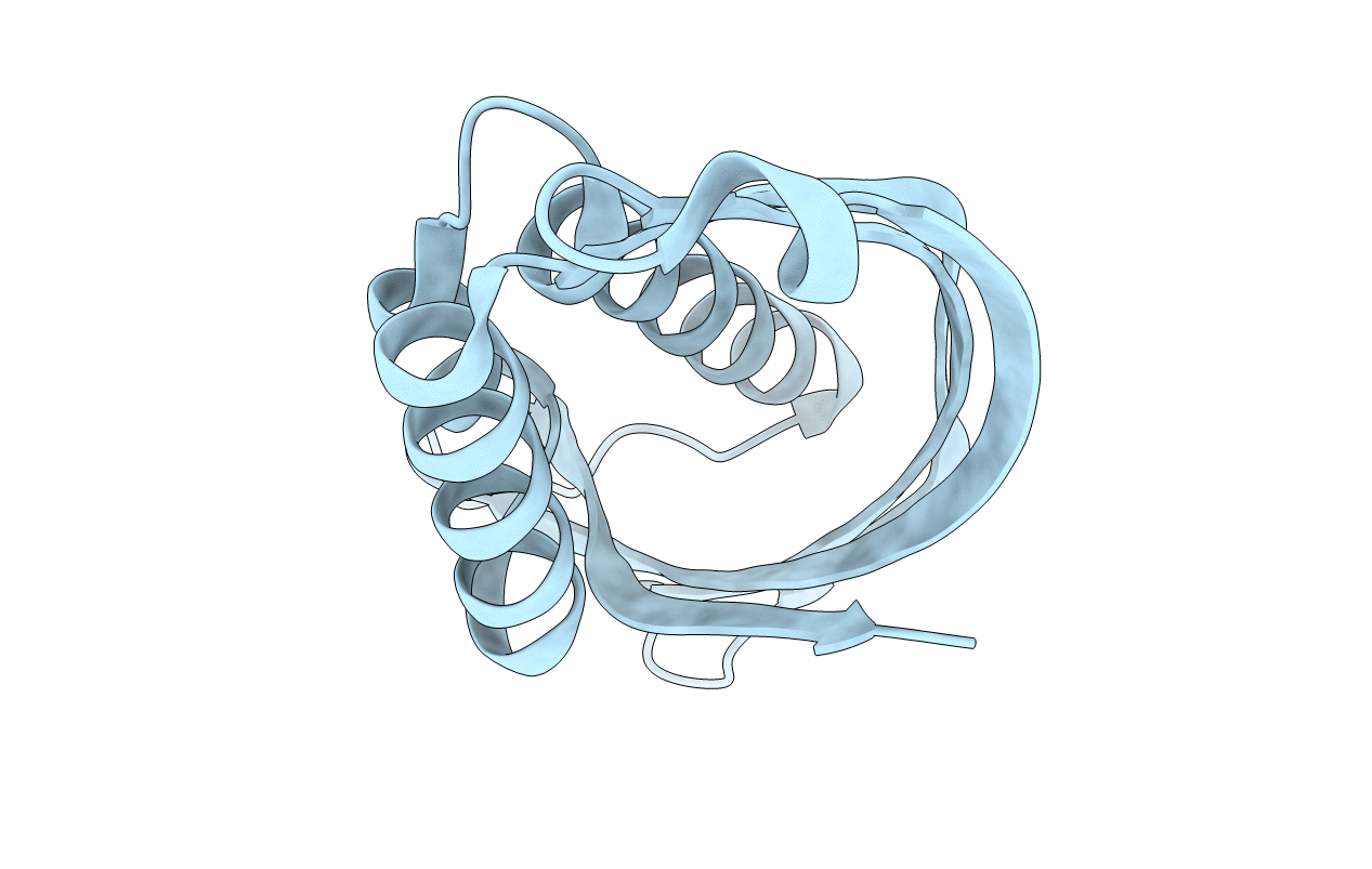 5D9R image