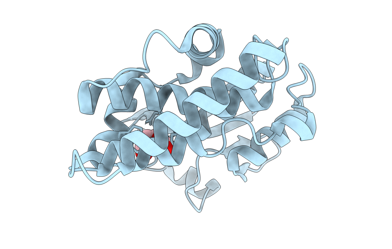 5D9W image