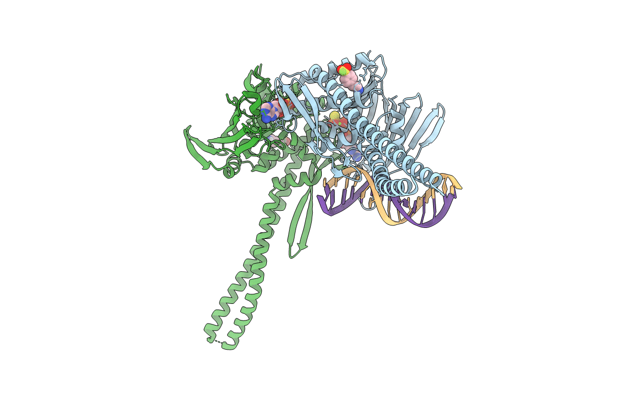 5DAC image