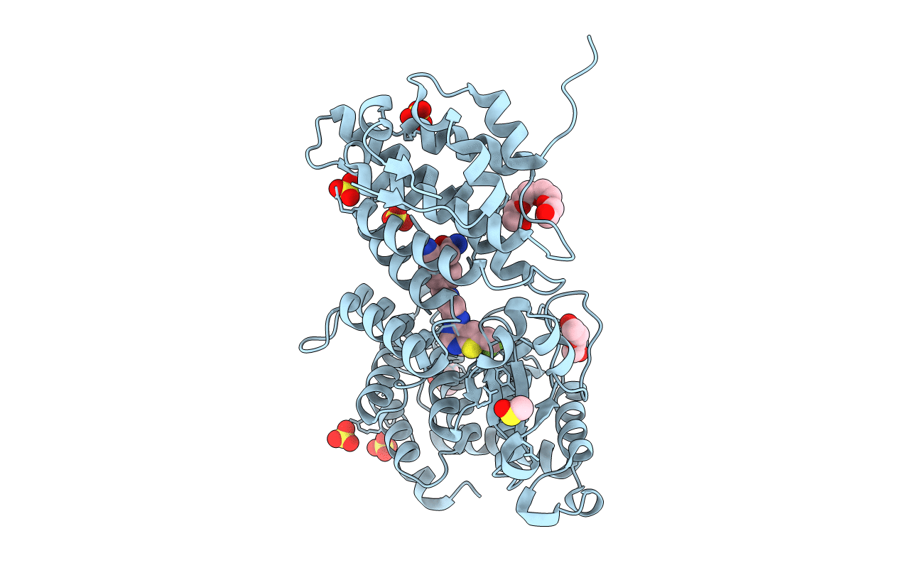5DB2 image