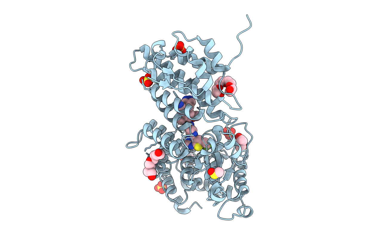 5DB3 image