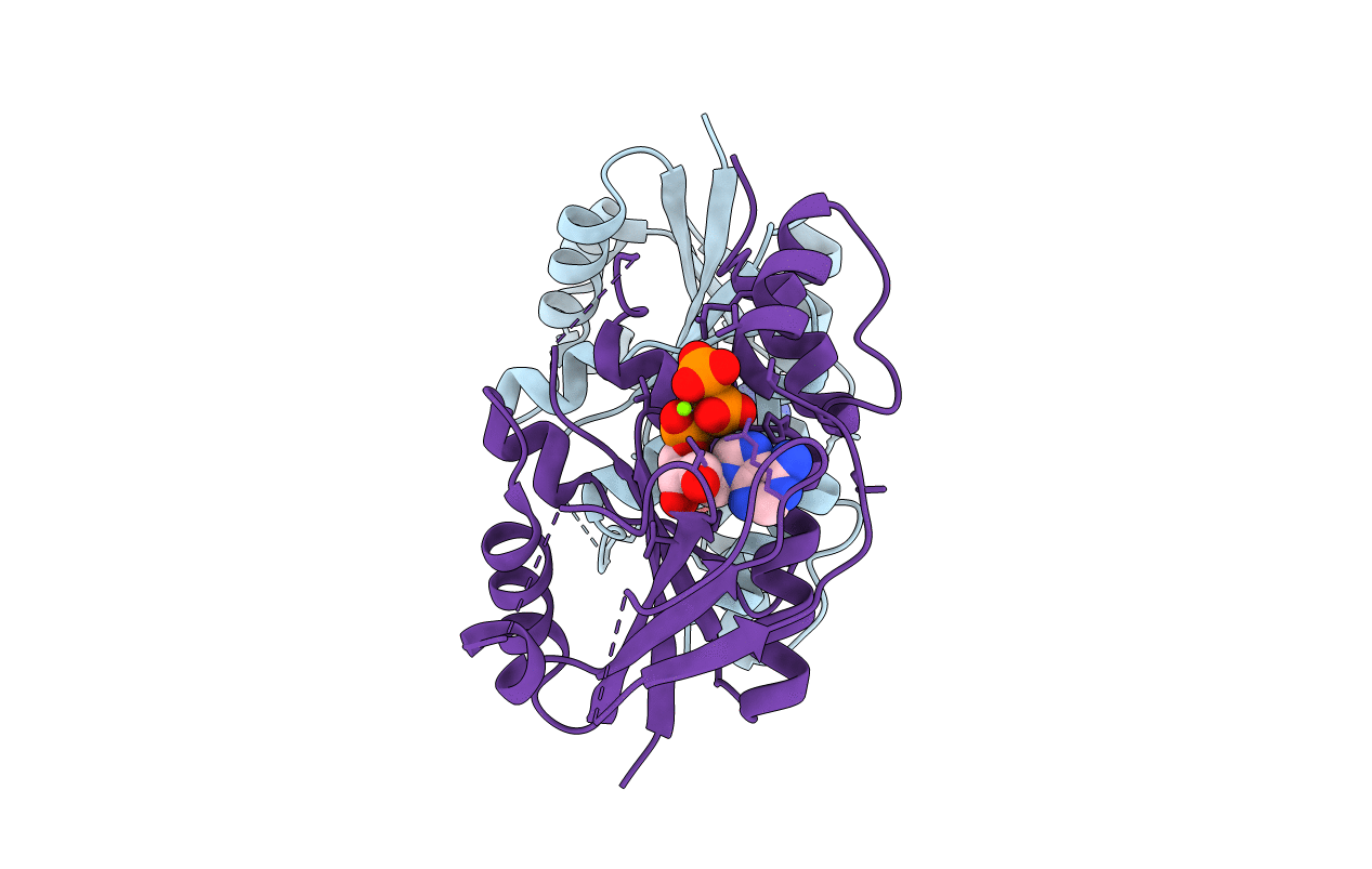 5DB4 image