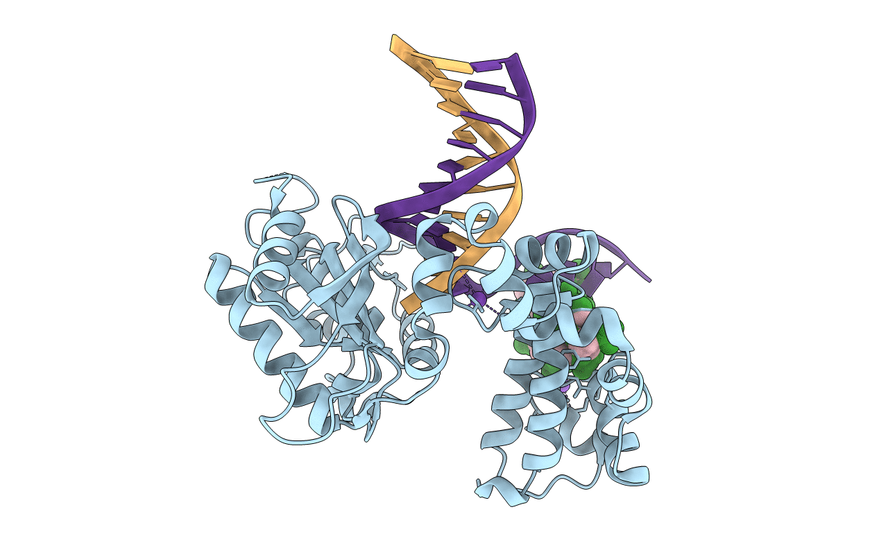 5DB6 image