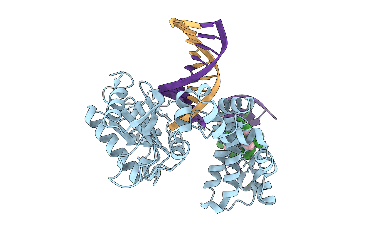 5DB7 image