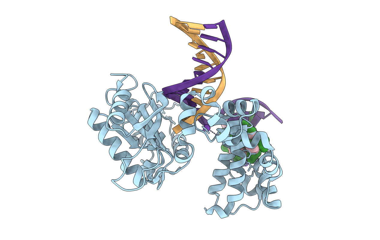 5DB9 image