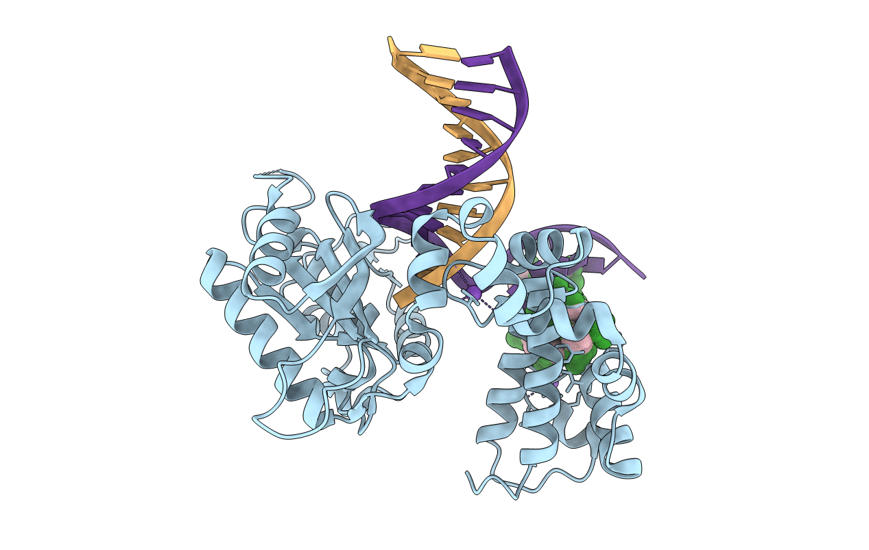 5DBA image