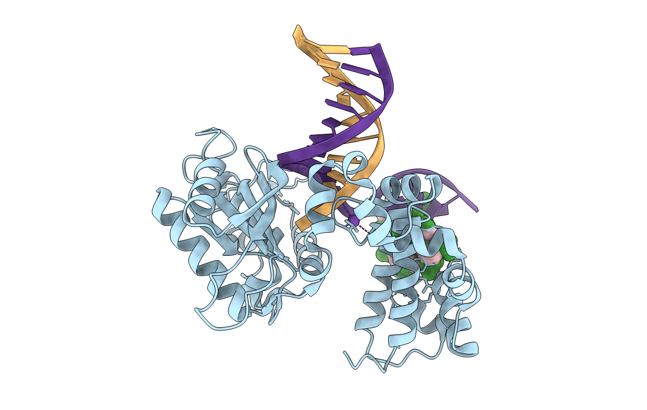 5DBC image