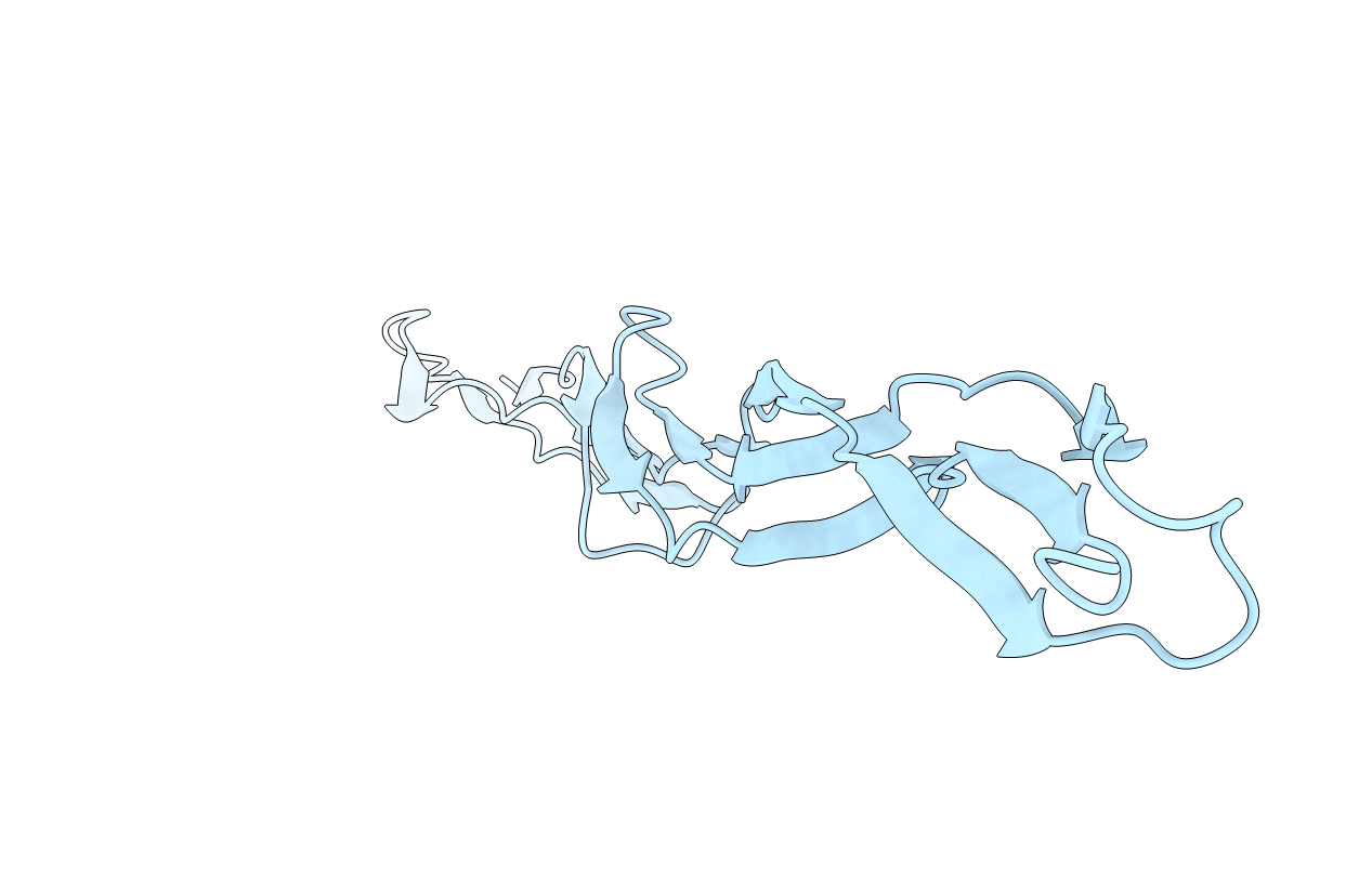 5DBL image