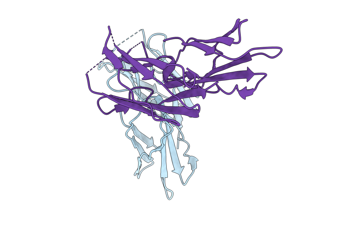 5DCP image