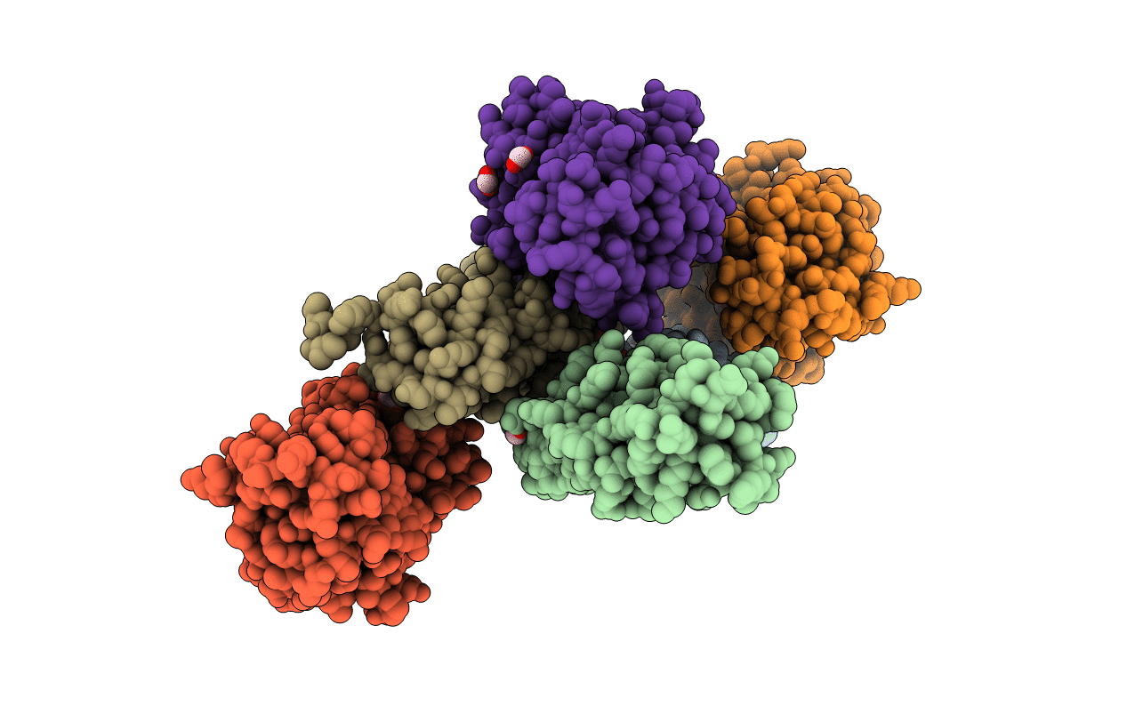 5DCQ image