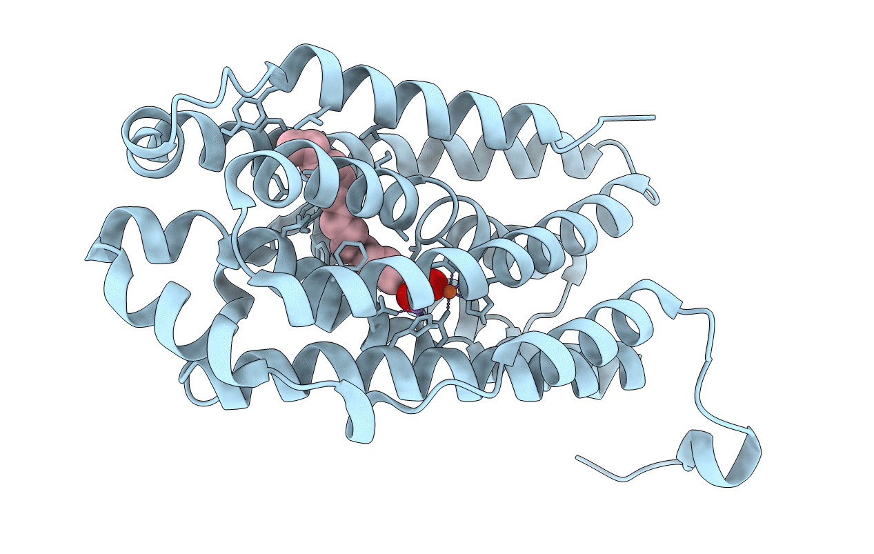5DCR image