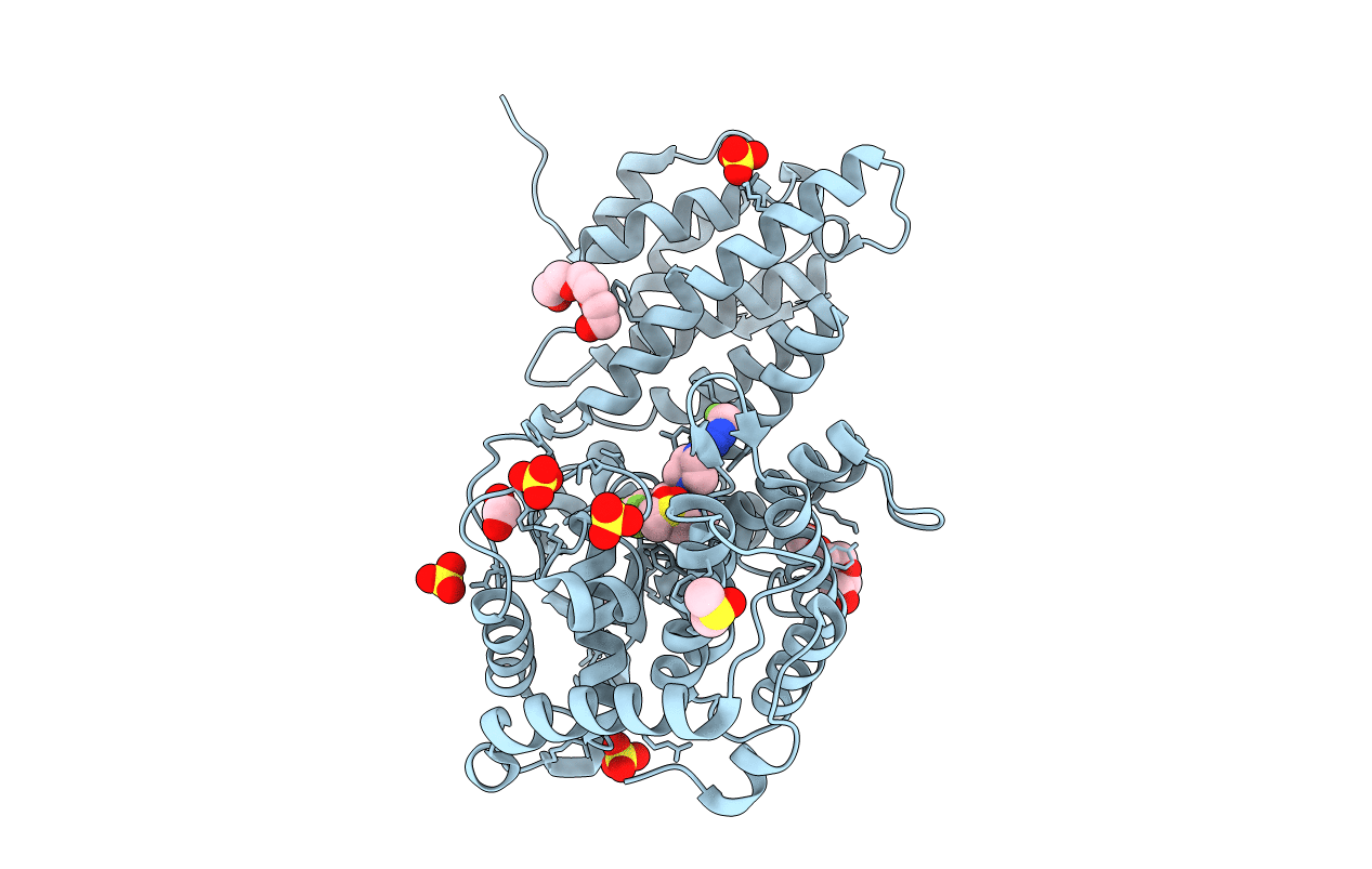 5DDA image