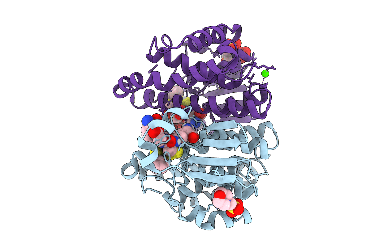 5DDL image