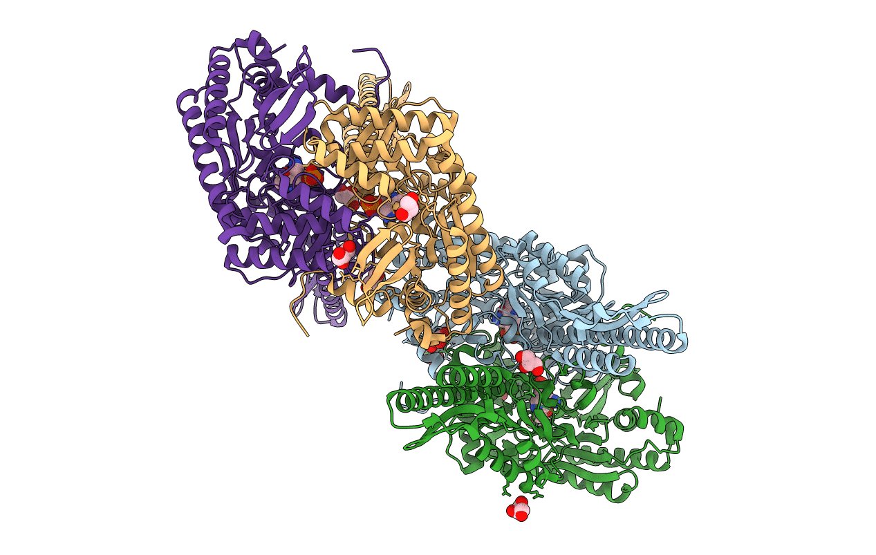 5DDU image
