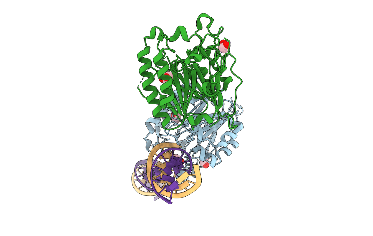 5DFI image