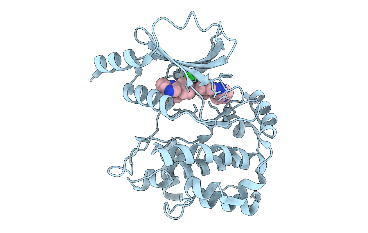 5DFP image