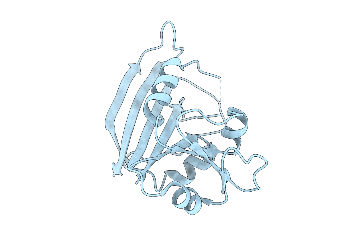 5DFR image