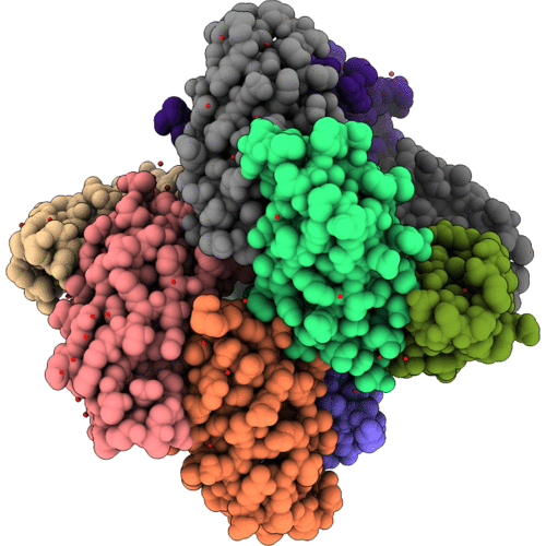 5DFT image