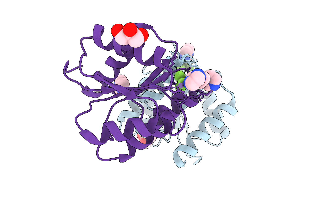5DGC image