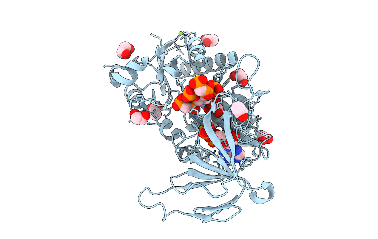 5DGI image