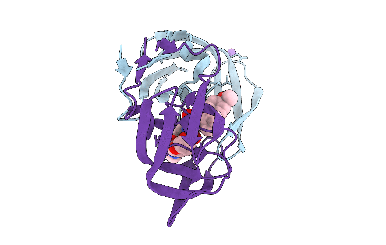 5DGW image