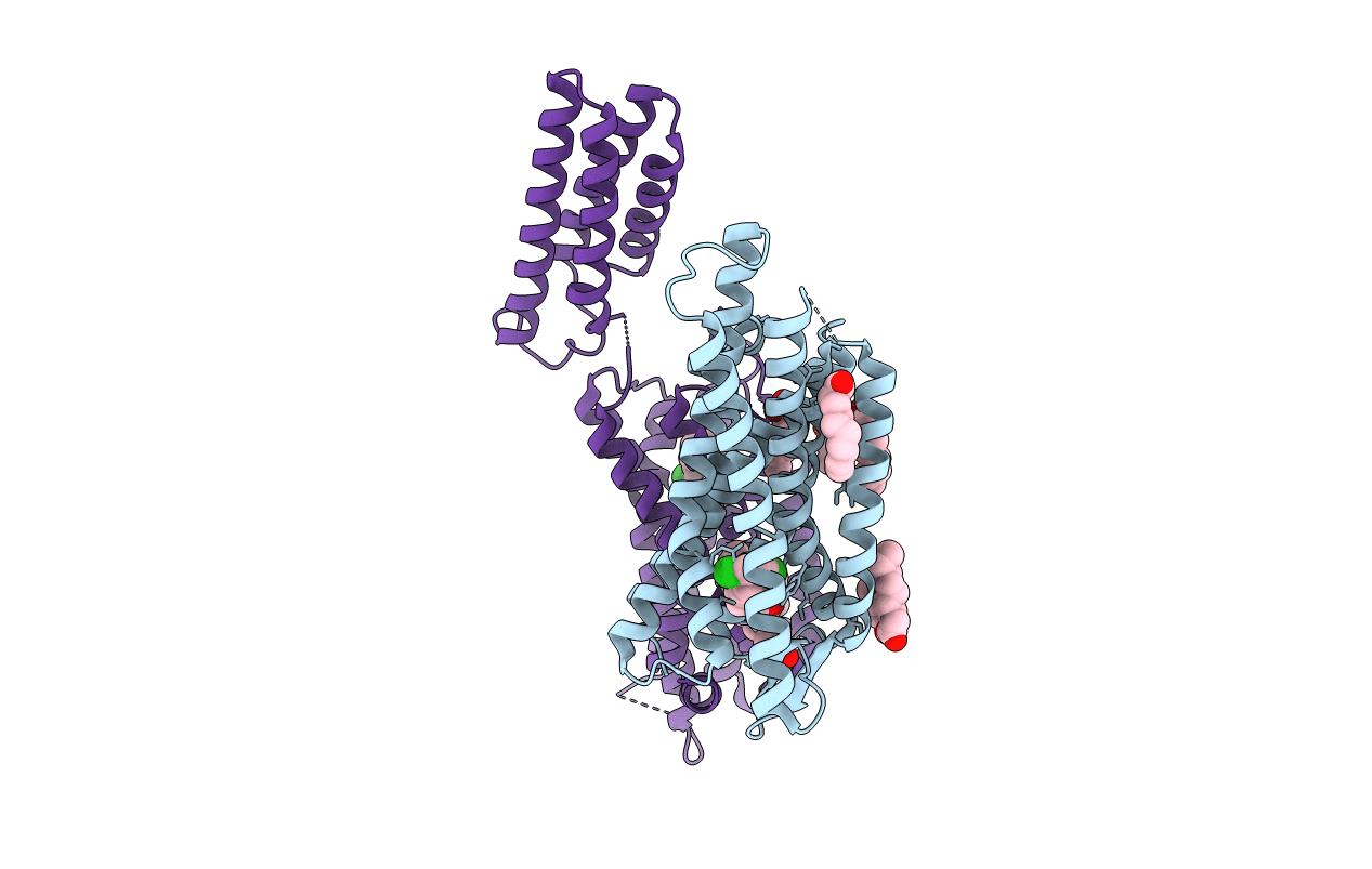 5DHH image