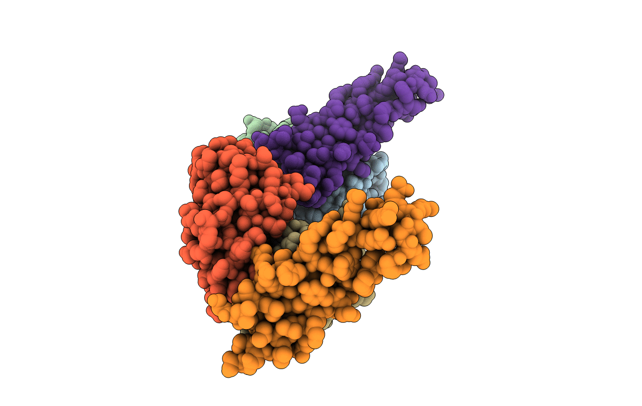 5DHV image